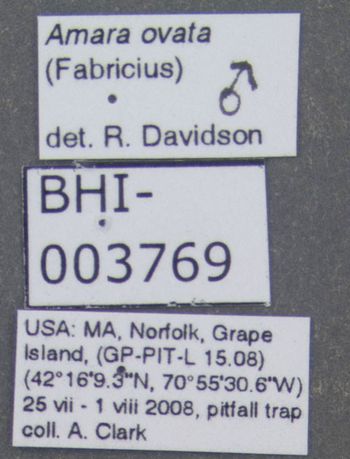 Media type: image;   Entomology 614415 Aspect: labels